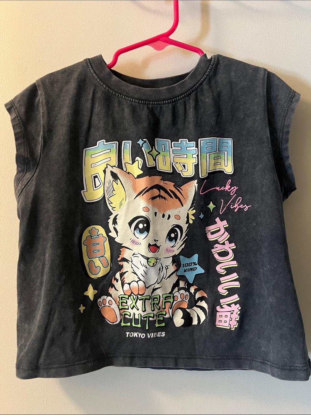 Zara Black Tee with Pastel Tiger Graphic
